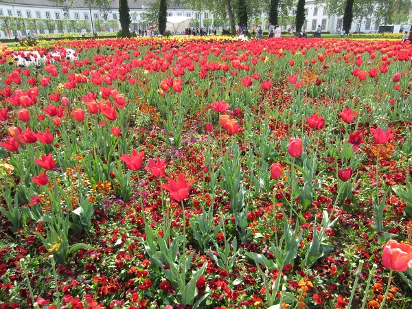 BUGA2011   174.jpg